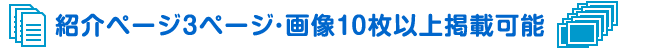 3ページ＋画像10枚以上